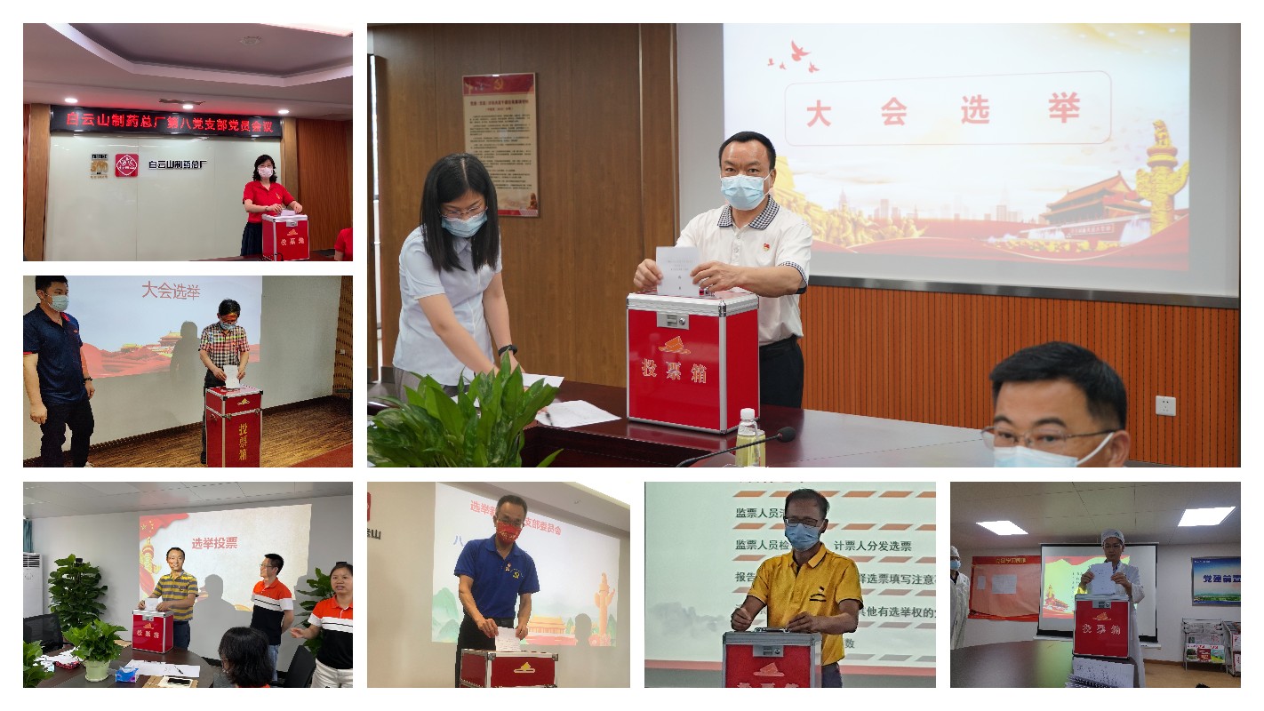 88858cc永利官网各党支部圆满实现换届选举工作