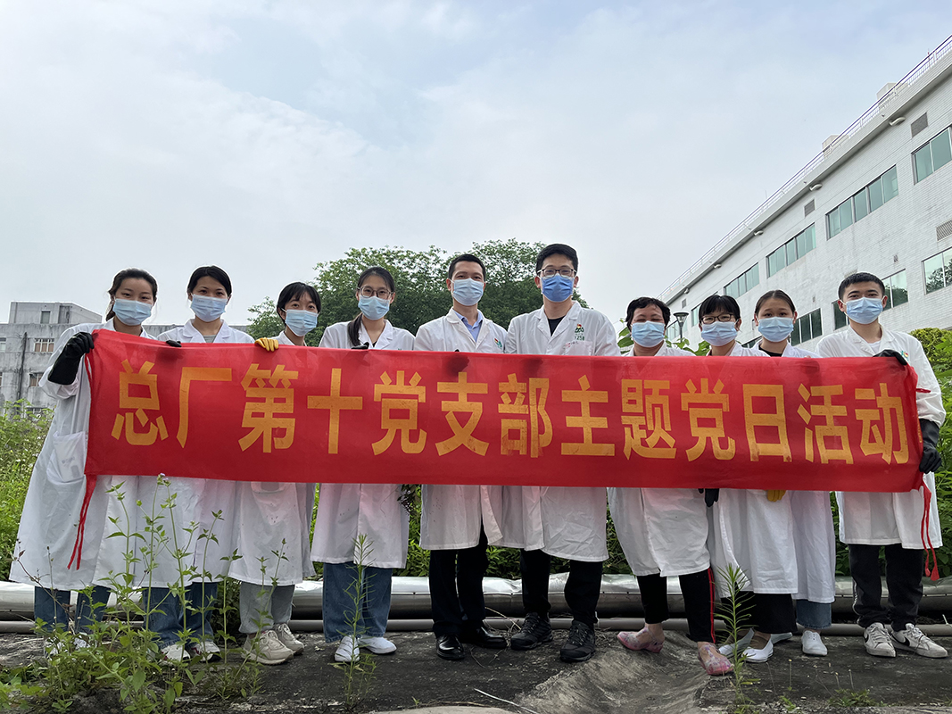 招架风雨的青年力量——第十党支部发展主题党日活动